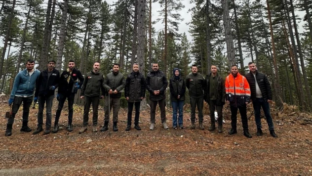 Çaldağ İşletme Şefliği'nde Damga Çalışması Yapıldı