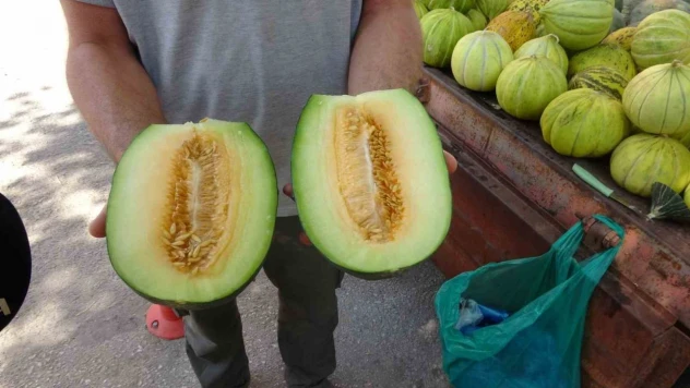 Çankırı Tuzu Bu Kavunun Tadına Tat Katıyor