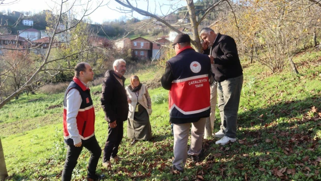 Çatalzeytin'de Çiftçilere Bahçecilik Ve Fide Yetiştiriciliği Eğitimi