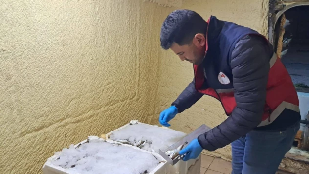 Çatalzeytin'de Su Ürünleri Denetimleri Sürüyor