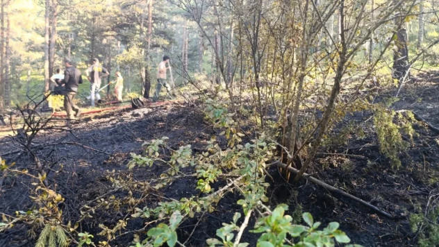 Çatalzeytin'de Yangın: Çalışmalar Devam Ediyor!
