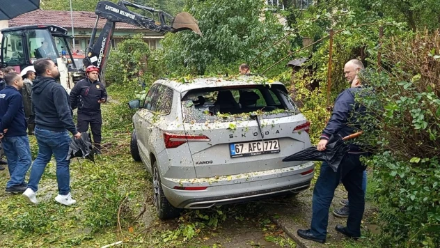 Otomobilin Üzerine Ağaç Devrildi
