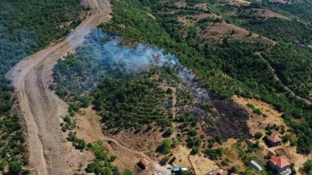 Çayır Köyünde Orman Yangını Korkuttu