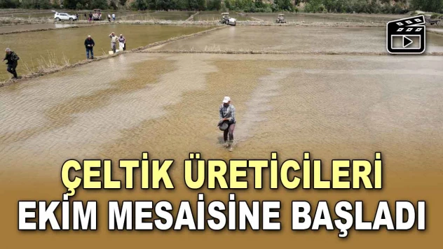 Çeltik Üreticileri Ekim Mesaisine Başladı