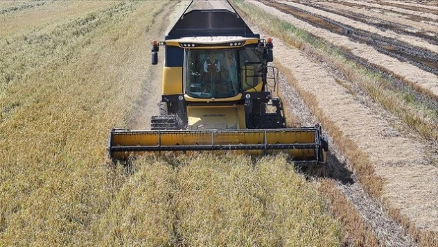 Çeltikte Rekor Üretim: 2025 Hedefi 988 Bin Ton