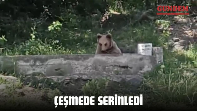Çeşmede Serinledi
