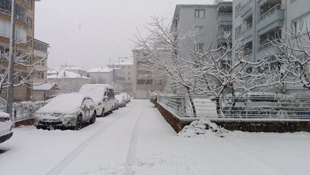 Cide'de Kar Yağışı Etkili Oldu