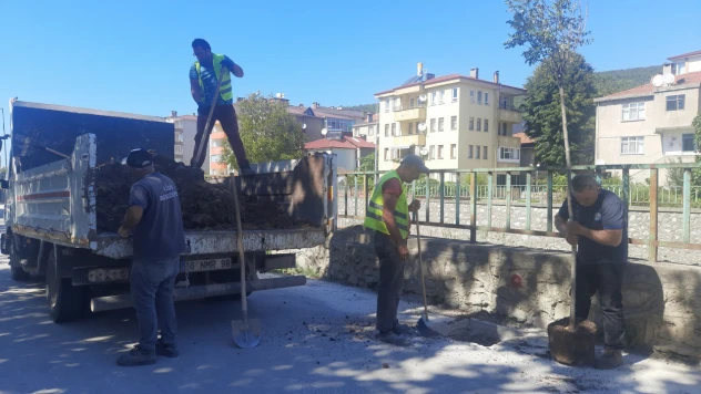 Cide'de peyzaj çalışması sürüyor