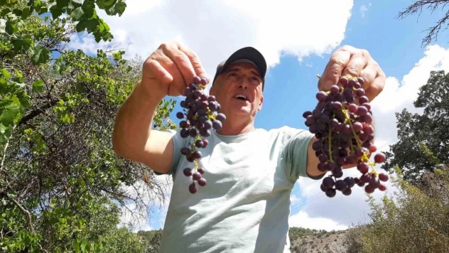 Çiftçiler Kışlık Hazırlığında