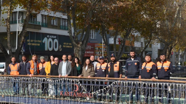 Çınar Ağaçlarında Restorasyon Çalışmaları Başladı