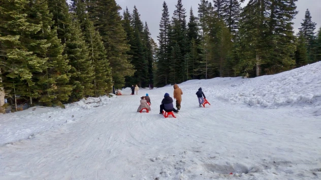 Çocuklar Ilgaz Yurduntepe'de Gönüllerince Eğlendiler