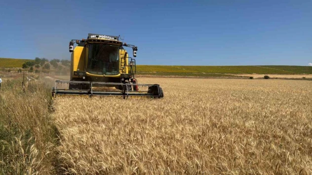 Çorum'da Hasatlar Başladı
