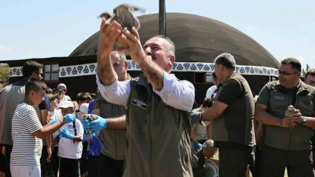 Çorum'da 120 Kınalı Keklik Doğaya Salındı