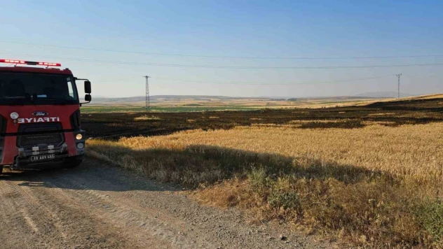 Buğday Ekili Tarla Alevlere Teslim Oldu