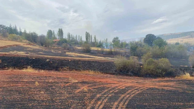 Çorum'da Arazi Yangını