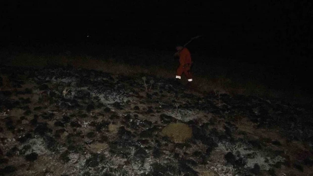 Yangın Ormana Sıçramasını Ekipler Önledi