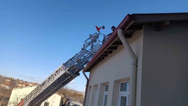 Kediyi İtfaiye Ekibi Kurtardı