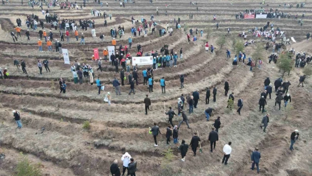 Çorum'da Binlerce Fidan Toprakla Buluşturuldu