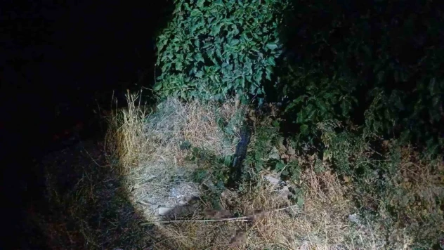 Çorum'da Saldırıya Uğrayan Adam Bacağından Yaralandı