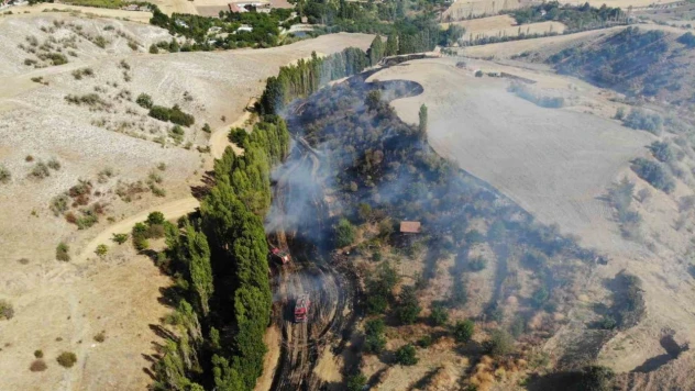 Çorum'da Tarlada Çıkan Yangın Korkuttu