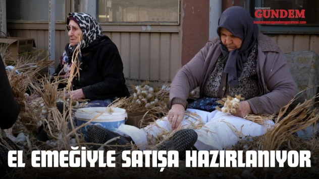 Demetler Halinde Satışa Hazır Hale Getiriliyor