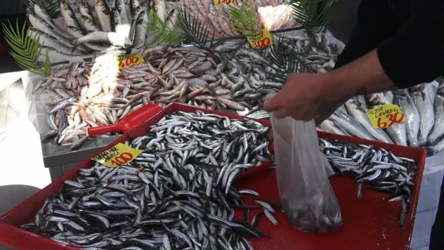 Çankırı'da 100 Liraya Satılan Hamsi Yüzleri Güldürdü
