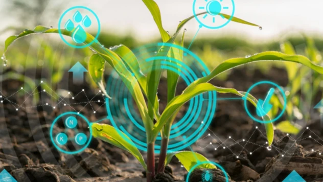 Derecelendirme Dönemi Başladı