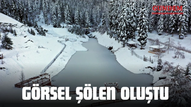 Deresökü Orman Parkı'nda Görsel Şölen Oluştu