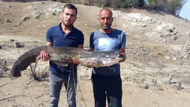 Dev Yayın Balığı Yakaladılar