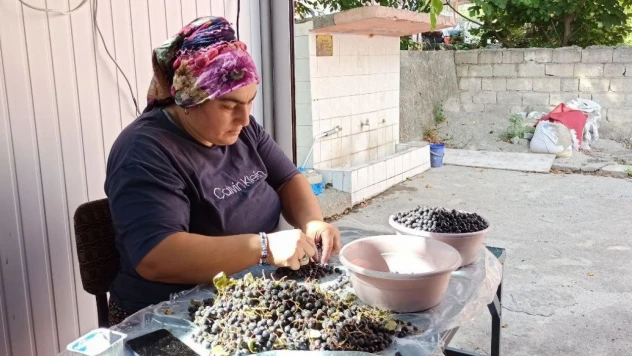 Aronya Meyve Suyuna Yoğun İlgi