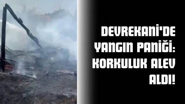 Devrekani'de Yangın Paniği: Korkuluk Alev Aldı!