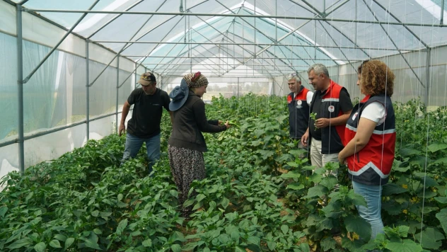Devrekani'de Yatırımlar Yerinde İncelendi