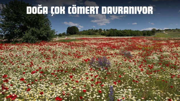Doğa Çok Cömert Davranıyor
