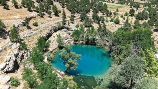 Doğal Güzellik: 'Yeşilgöz'
