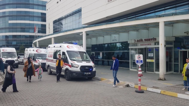 Domuz zannettiği yengesini ağır yaraladı