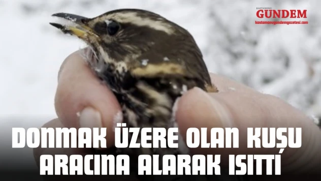 Donmak Üzere Olan Kuşu Aracına Alarak Isıttı