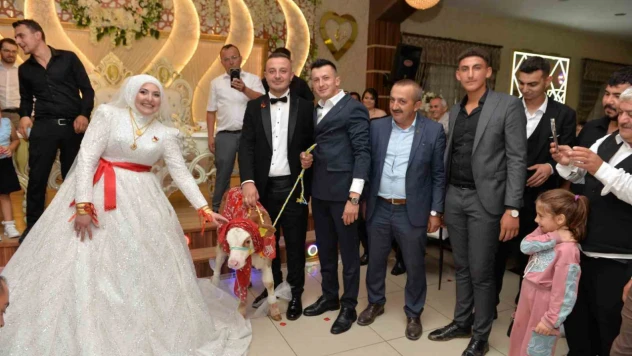 Düğünde Gelin Ve Damada İlginç Hediye