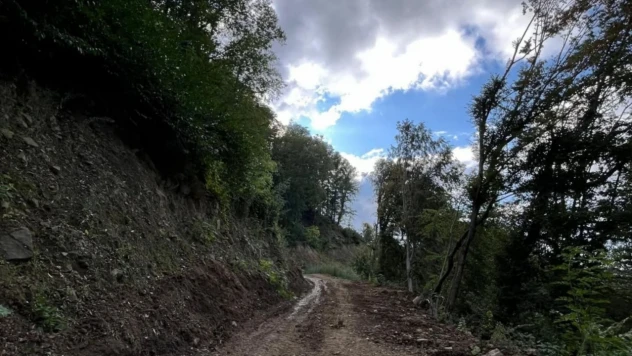 Düzensiz Yağışlar Kastamonu'da Orman Yollarını Olumsuz Etkiliyor