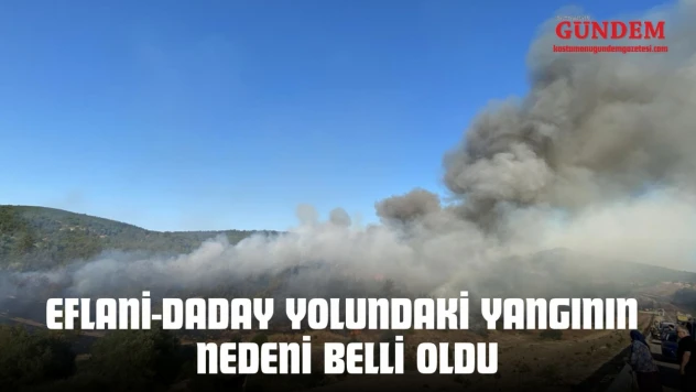 Eflani-Daday Yolundaki Yangının Nedeni Belli Oldu