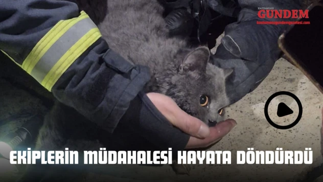 Ekiplerin Müdahalesi Hayata Döndürdü