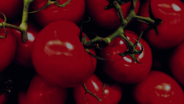 En İyi Tüyolarla Ev Yapımı Salça