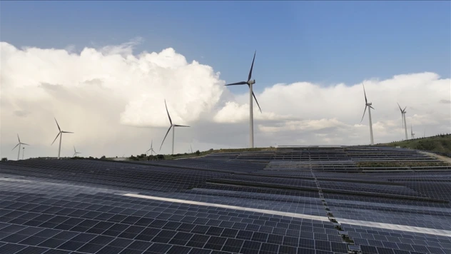 Enerji Kaynak Alanlarında Yeni Kapasite Tahsisleri