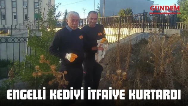 Engelli Kediyi İtfaiye Kurtardı