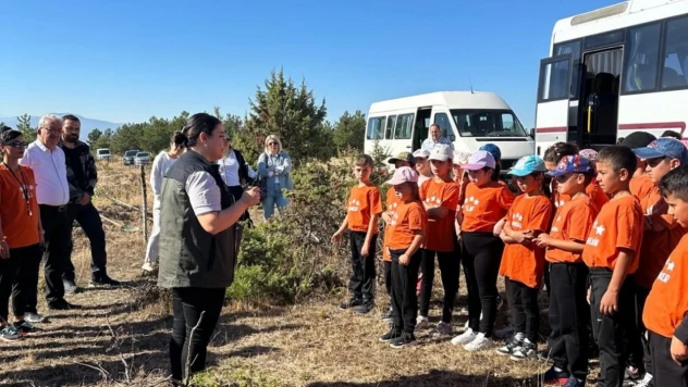 Fidan Dikimi Yapıldı