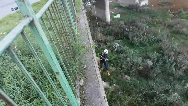 Filyos Çayı'na Düşen Yavru Kedi Kurtarıldı