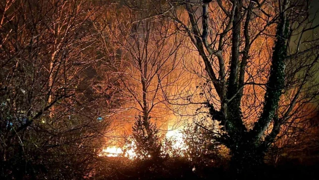 Filyos'ta Ağaçlık Alanda Çıkan Yangın Korkuttu