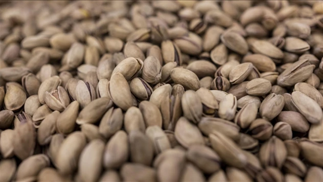 Fıstık Sektörüne Sıkı Denetim