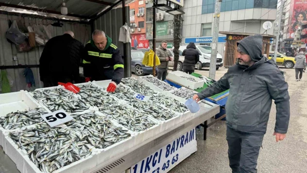 Fiyatı Düşen İstavrite Yoğun İlgi
