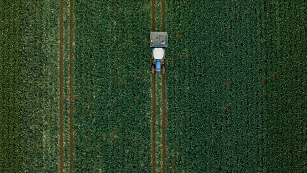 Gençlerin Kırsala Dönüşü Hızlanacak