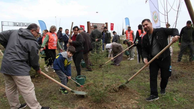 Şehit Orman Görevlileri Anısına Fidan Dikildi